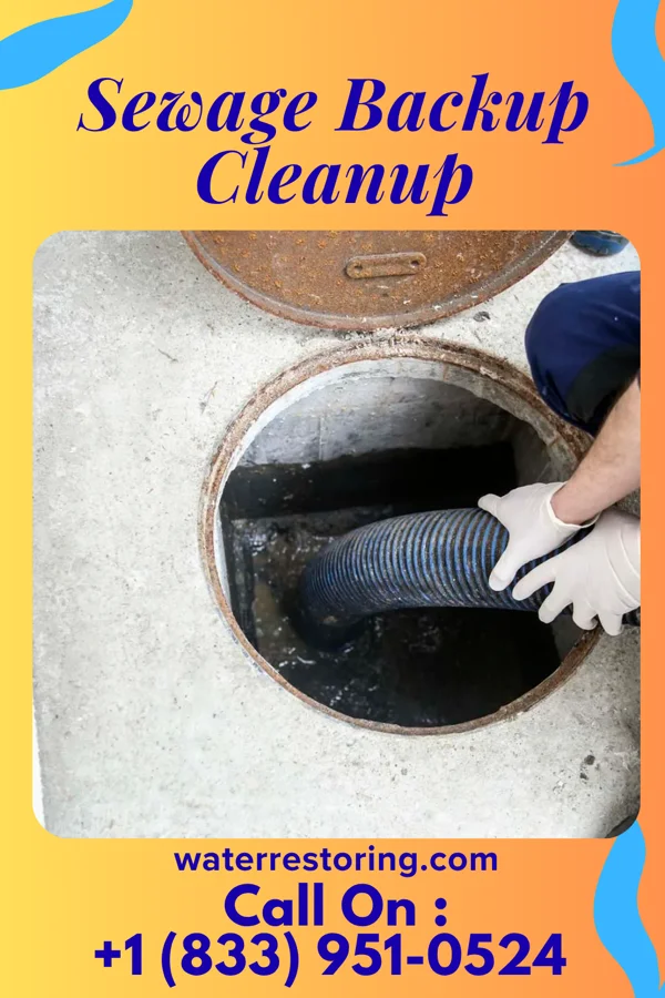 Sewage Backup Cleanup in Yankton, SD